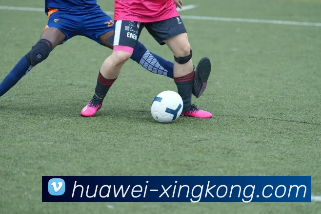 星空体育平台生态图