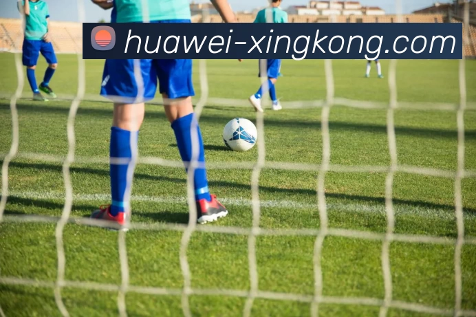 星空体育APP 封面图